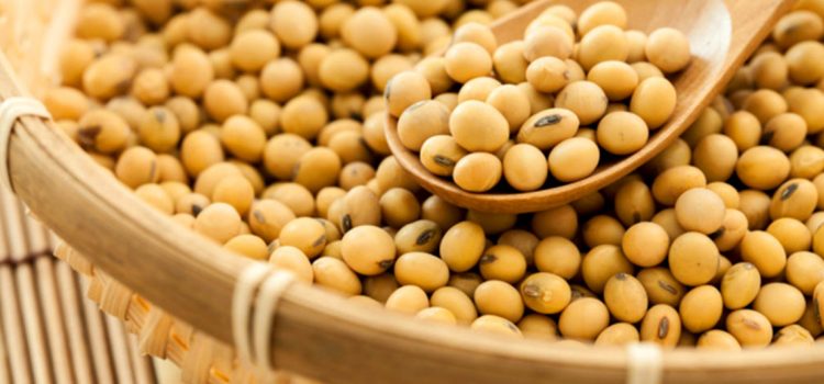 Suivi rigoureux des chantiers ouverts dans ses zones d’interventions : Le PAPVIRE-ABC veille au respect des délais contractuels de livraison