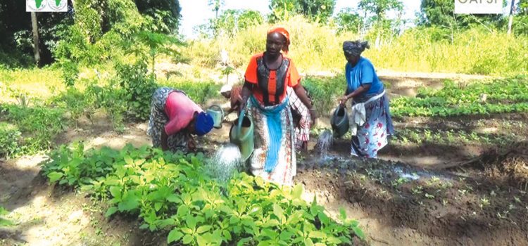 Suivi rigoureux des chantiers ouverts dans ses zones d’interventions : Le PAPVIRE-ABC veille au respect des délais contractuels de livraison